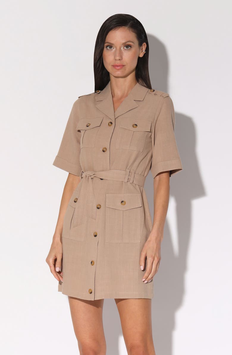 Walter Baker Kate Dress, Alternate, color, Straw