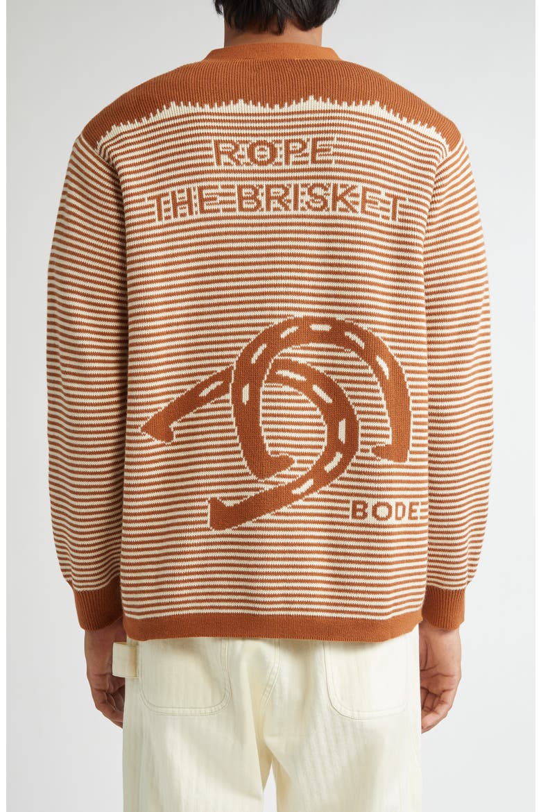 Buckaroo Cardigan, Alternate, color, BROWN/ CREAM