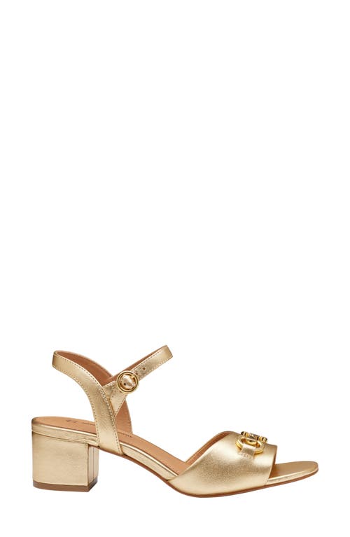 Johnston & Murphy Collection Edith Ankle Strap Sandal In Gold