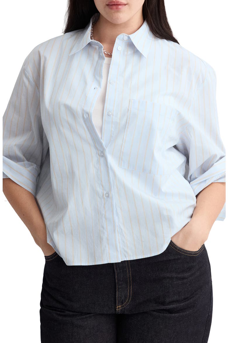 Stripe Cotton Button-Up Shirt, Alternate, color, SKY BLUE