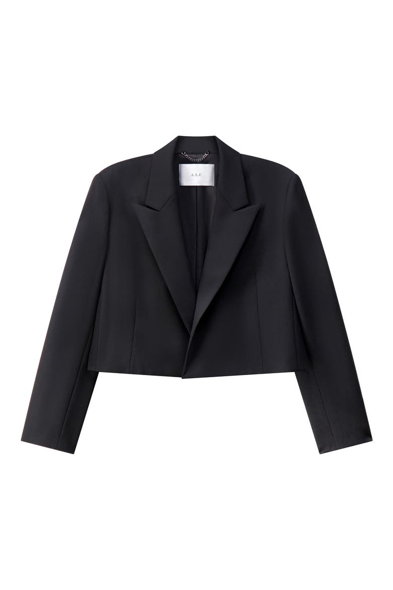 Cass Cropped Blazer, Alternate, color, BLACK