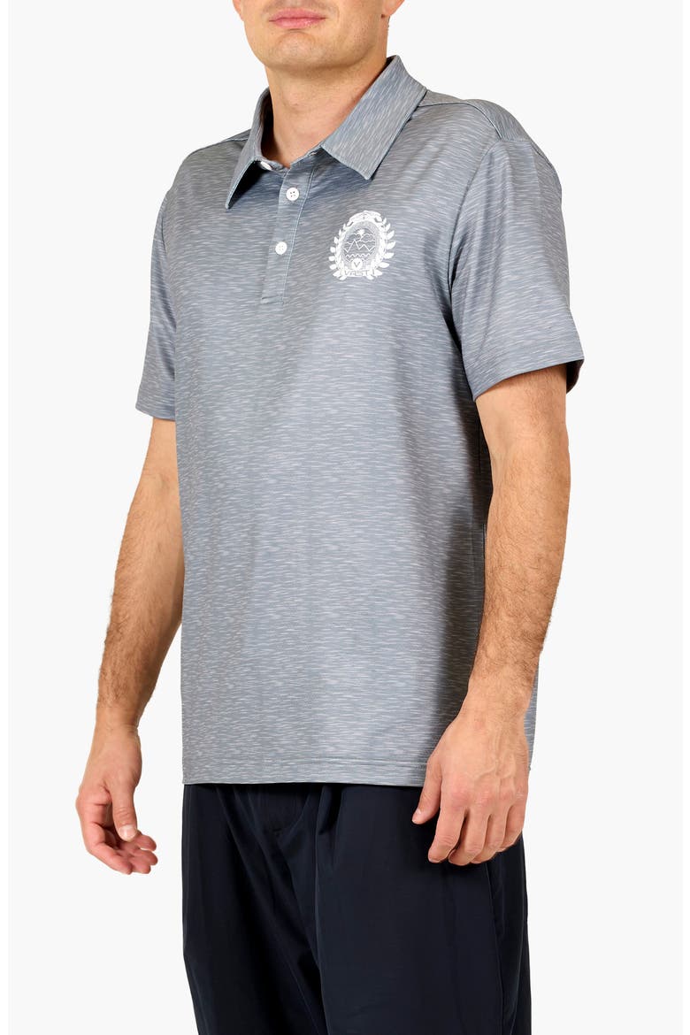 Between Waves Aqua Terra Performance Polo, Alternate, color, HEATHER GREY