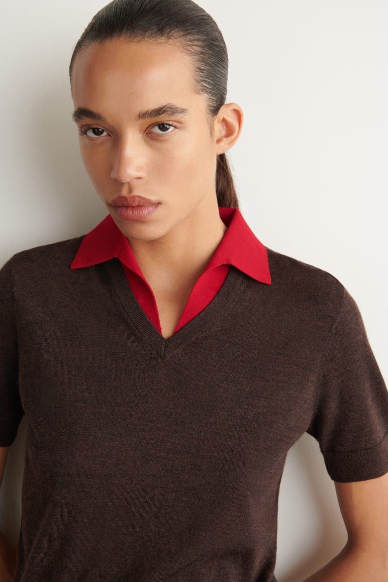 Merino Wool Layered Polo Shirt, Alternate, color, BROWN / RED