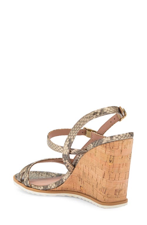 Shop Linea Paolo Esme Wedge Sandal