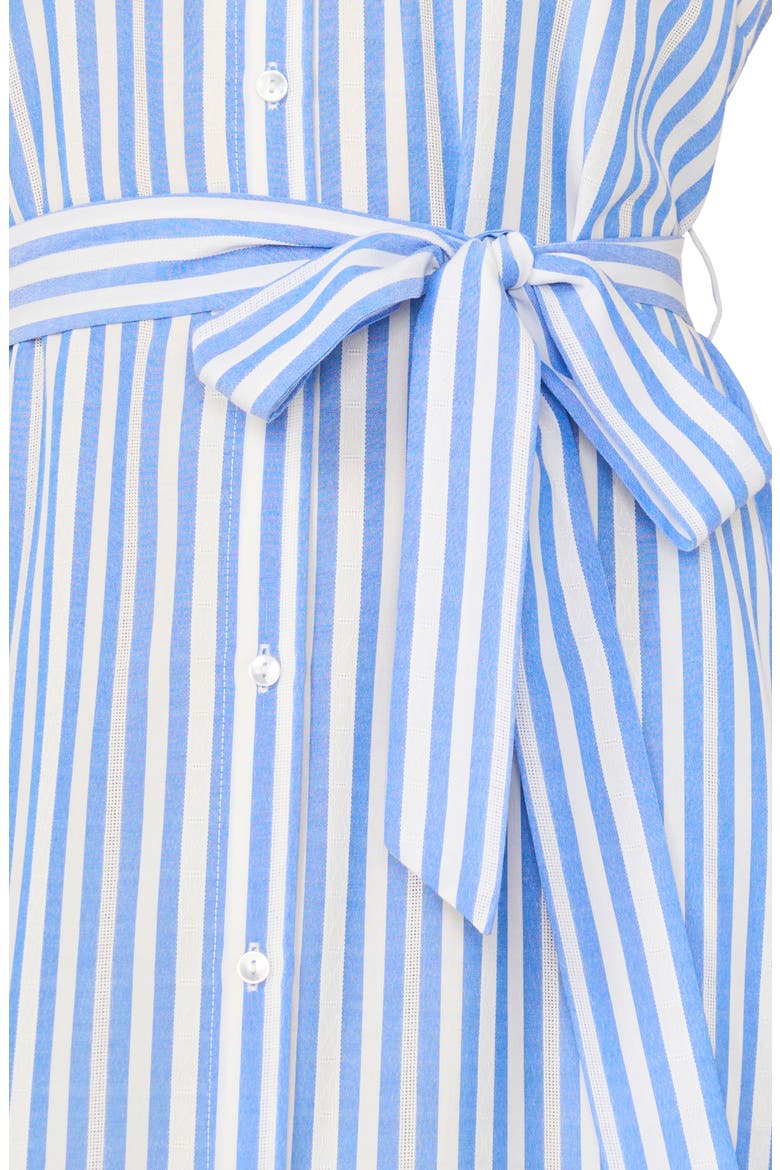 Stripe Sleeveless Maxi Shirtdress, Alternate, color, BLUE CLOUD