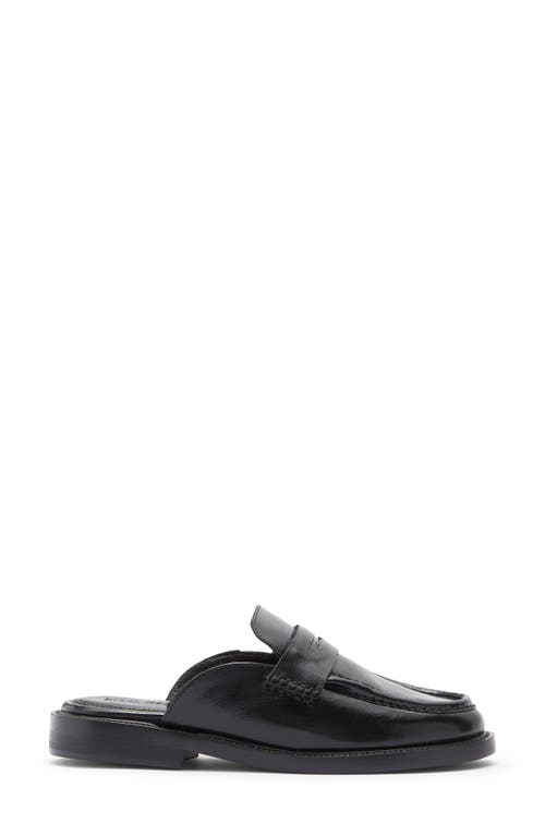 Steve Madden Mulberry Mule In Black