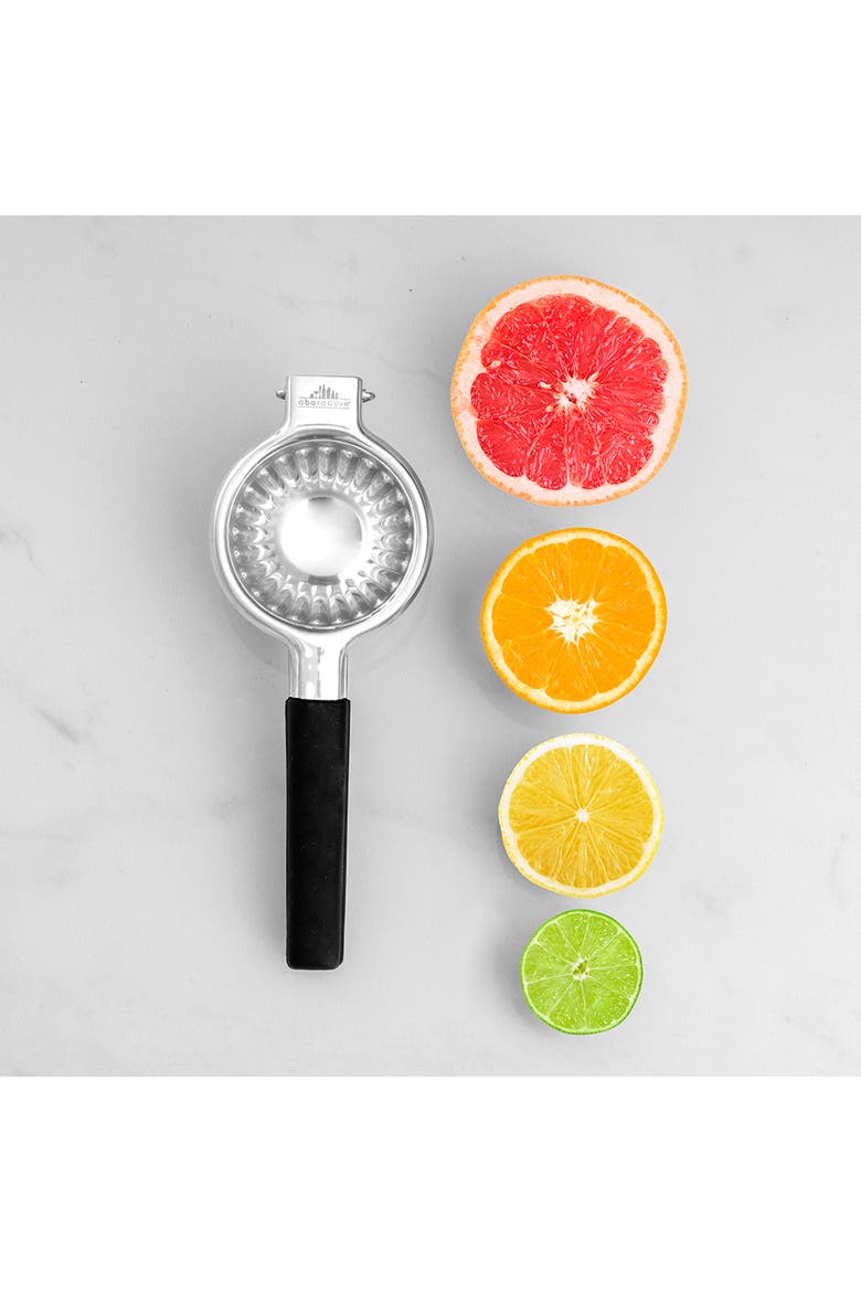 Stainless Steel Citrus Juicer, Alternate, color, Stainless Steel