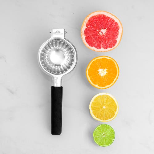 A Bar Above Stainless Steel Citrus Juicer In Stainless Steel