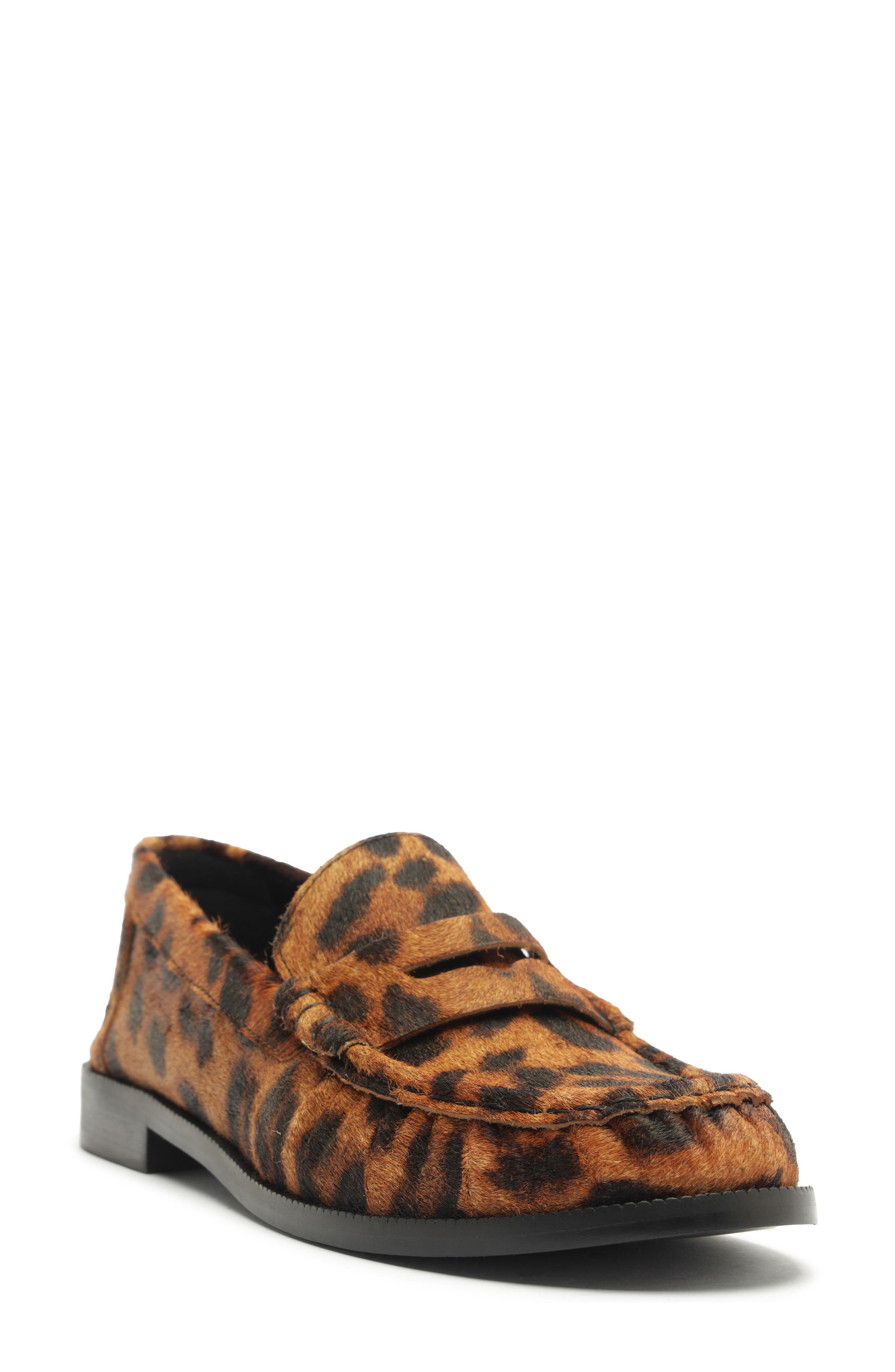  Animal Print