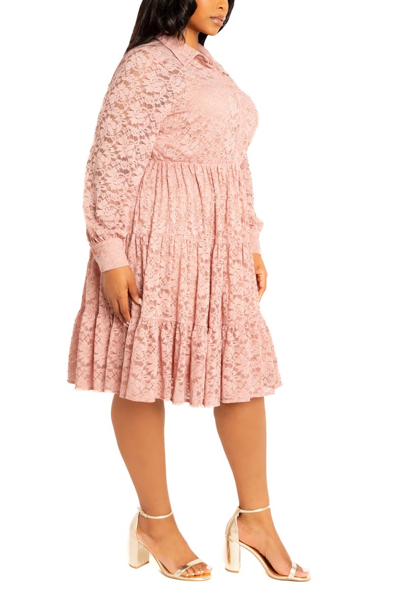 Lace Long Sleeve Shirtdress, Alternate, color, MAUVE
