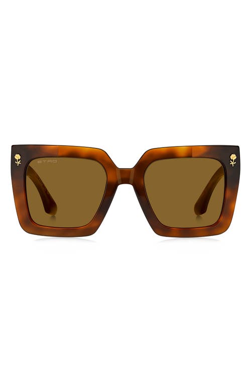 Etro 0089s Square Acetate Sunglasses