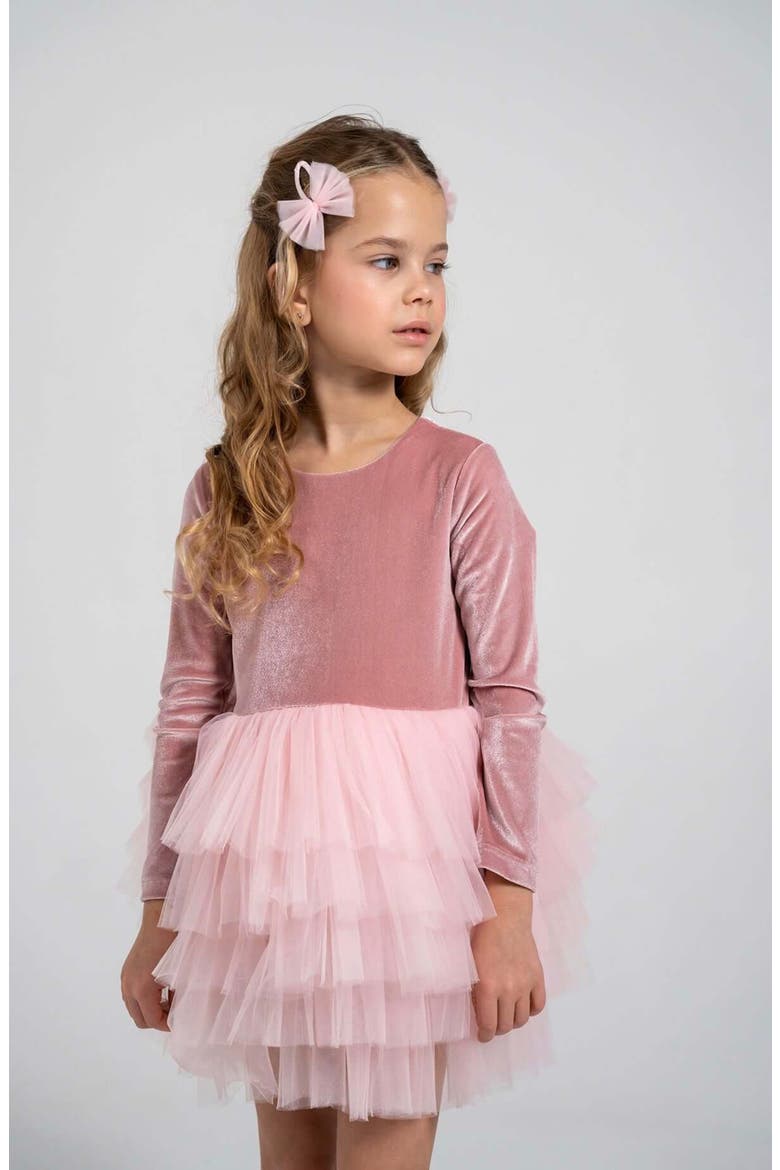 Velora Long Sleeve Velvet Tutu Dress, Main, color, Pink Rose