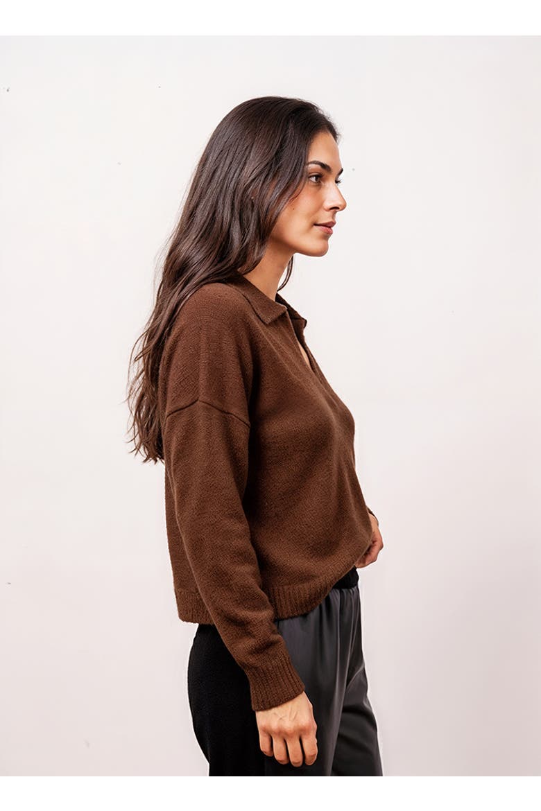 Robbie V-Neck Polo, Alternate, color, CHOCOLATE