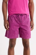 Gotcha Baja Norte Shorts