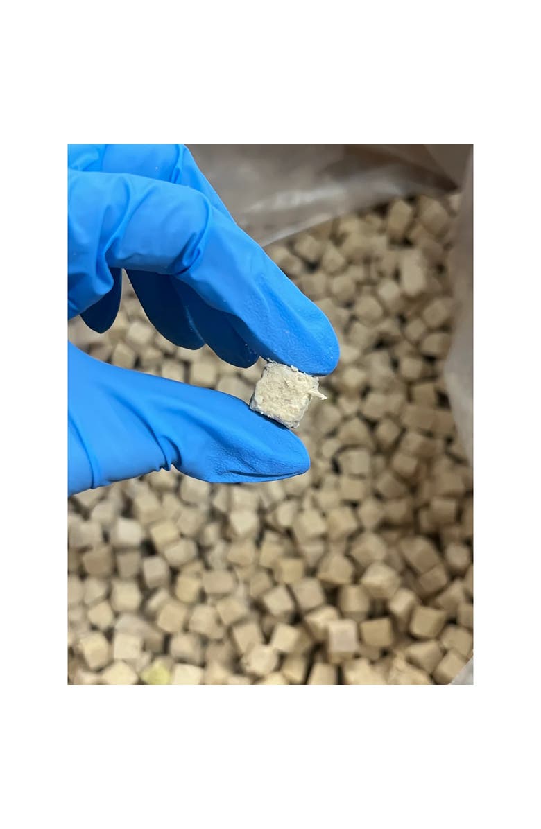 Pet Popcorn Freeze Dried Raw Treats, Alligator, 2.5oz Bag, Dog & Cat Snacks, Alternate, color, Multicolored