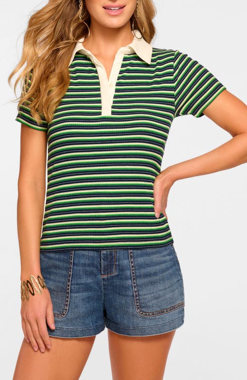 Shop Ramy Brook Avalon Polo Top In Spring Navy Stripe Combo
