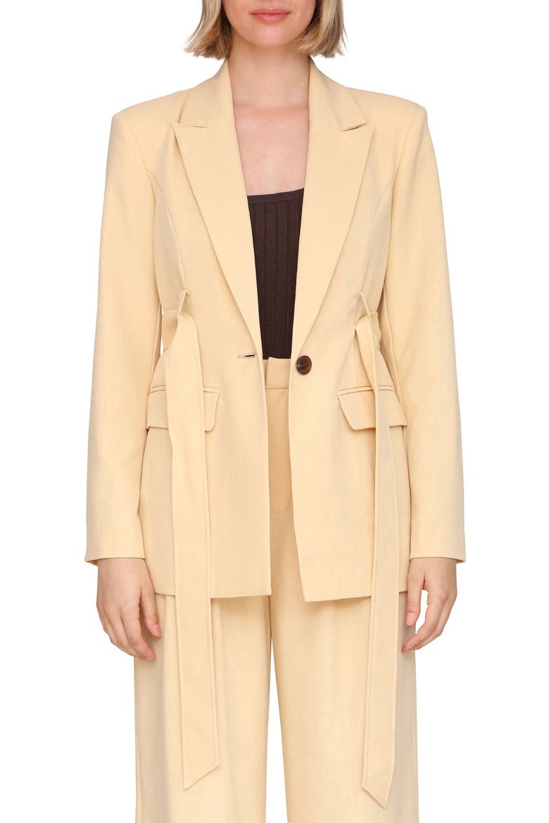 Drapey Long Belted Blazer, Alternate, color, CAMEL