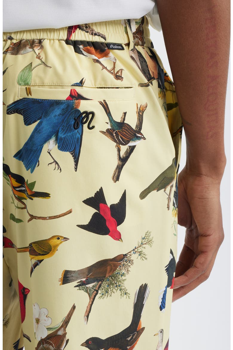 Birds of Georgia Print Magnolia Performance Pants, Alternate, color, BIRD PRINT