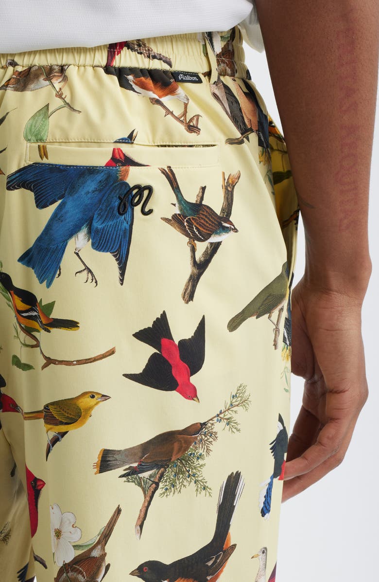 Malbon Golf Birds of Georgia Print Magnolia Performance Pants, Alternate, color, Bird Print