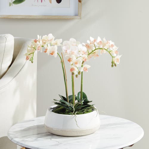 Napa Home & Garden Phalaenopsis Mini Garden Artificial Plant Drop-in In Green