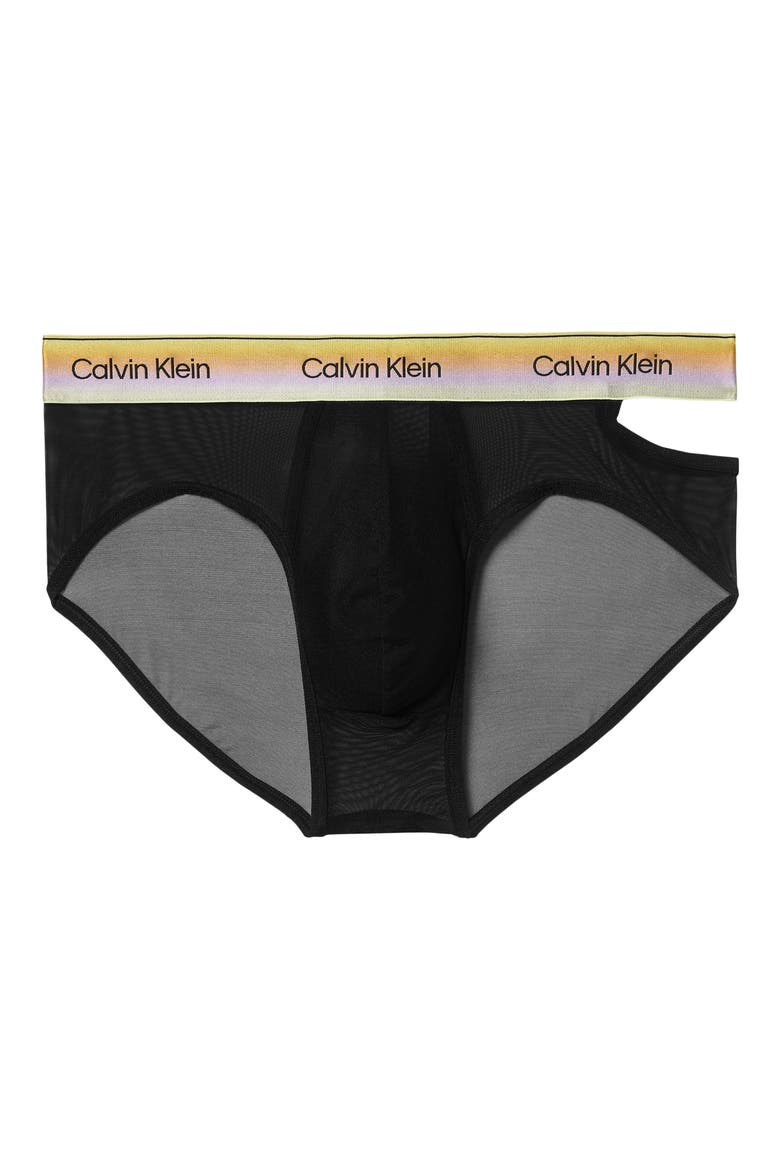 Pride Sheer Mesh Briefs, Main, color, BLACK