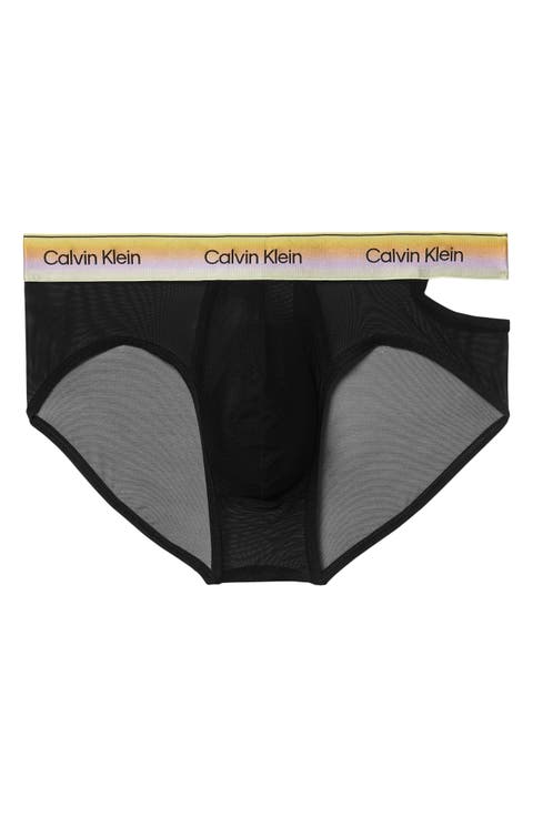 Pride Sheer Mesh Briefs