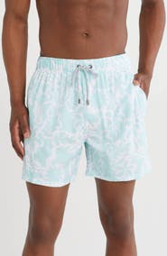 Vintage Summer 4-Way Stretch Volley Swim Trunks