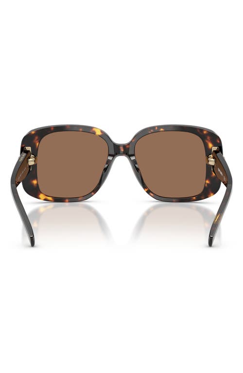 Tory Burch 53mm Gradient Square Sunglasses In Brown