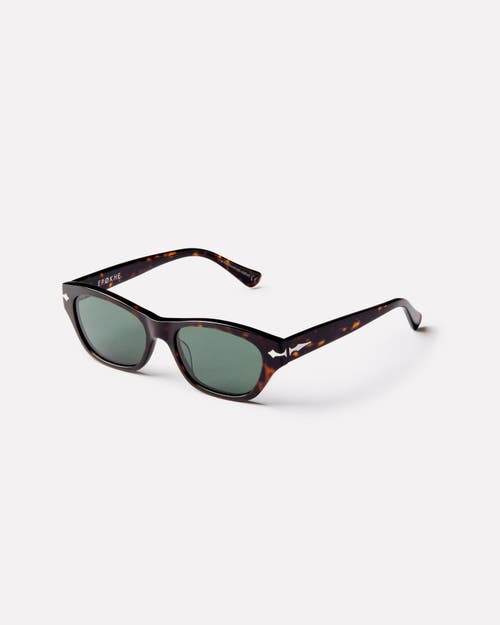 Epokhe Frequency Sunglasses In Brown