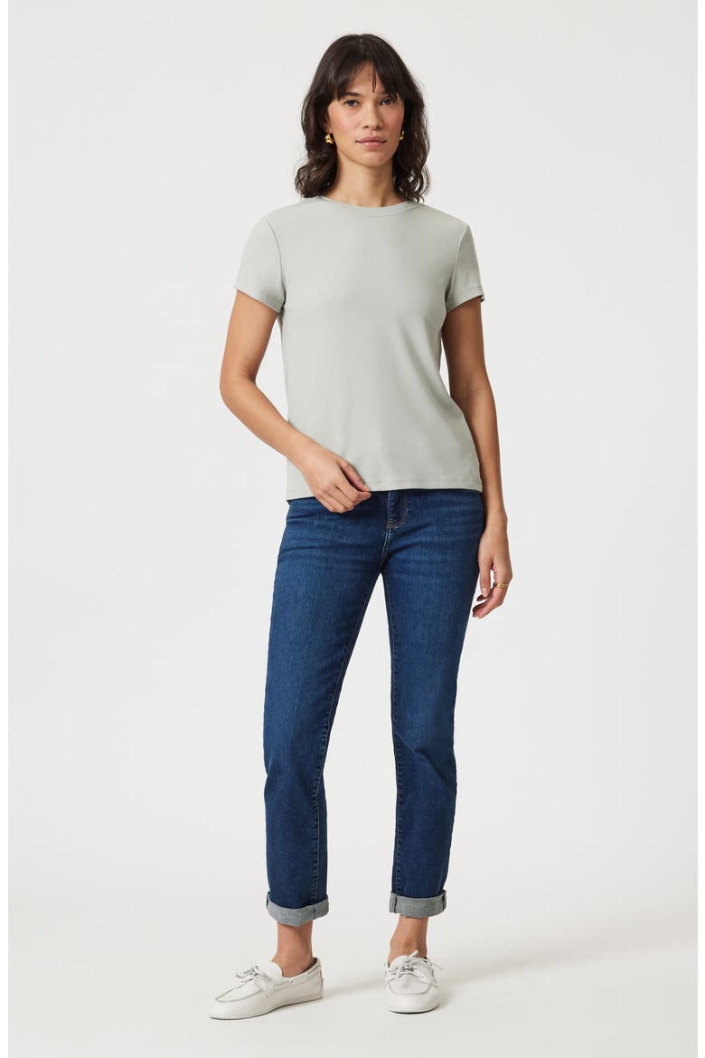 Basic Rib T-Shirt, Alternate, color, PIGEON