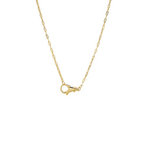 Solid Clasp Chain Necklace
