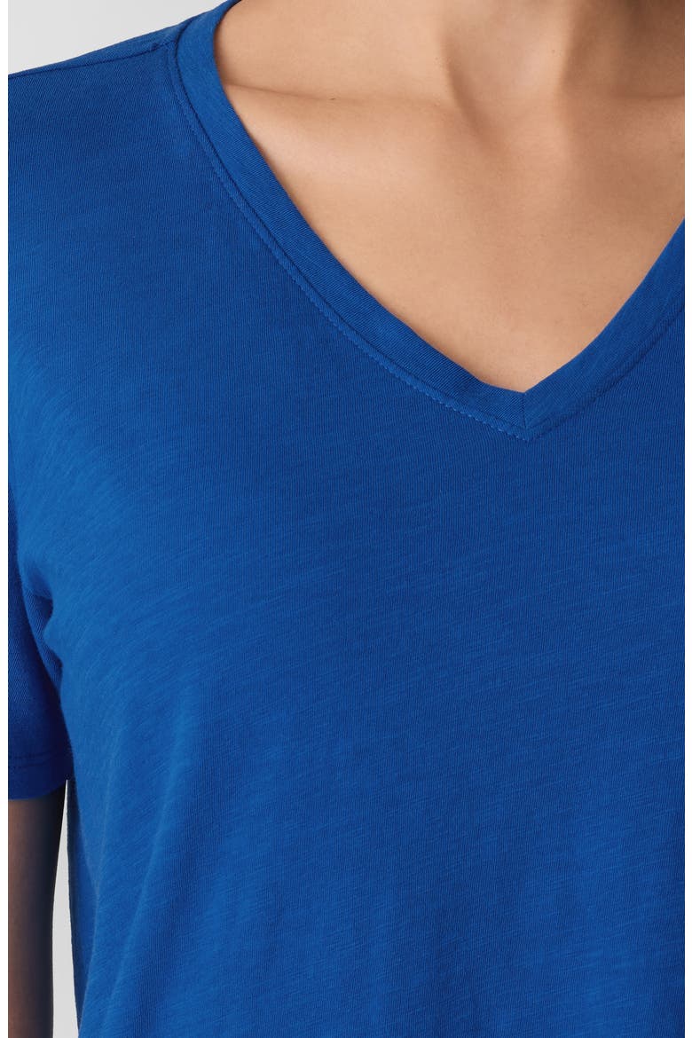Easy V-Neck Organic Cotton T-Shirt, Alternate, color, BLUEBIRD