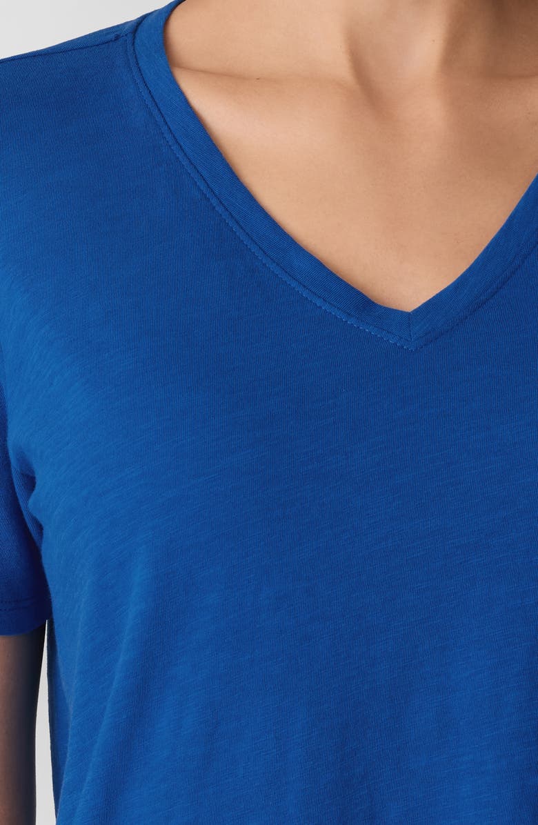 Eileen Fisher Easy V-Neck Organic Cotton T-Shirt, Alternate, color, Bluebird
