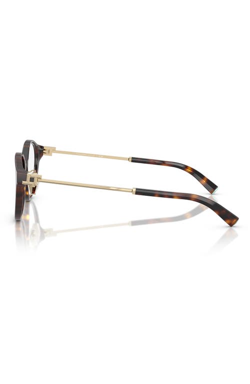 Tiffany & Co . 48mm Round Optical Glasses In Brown