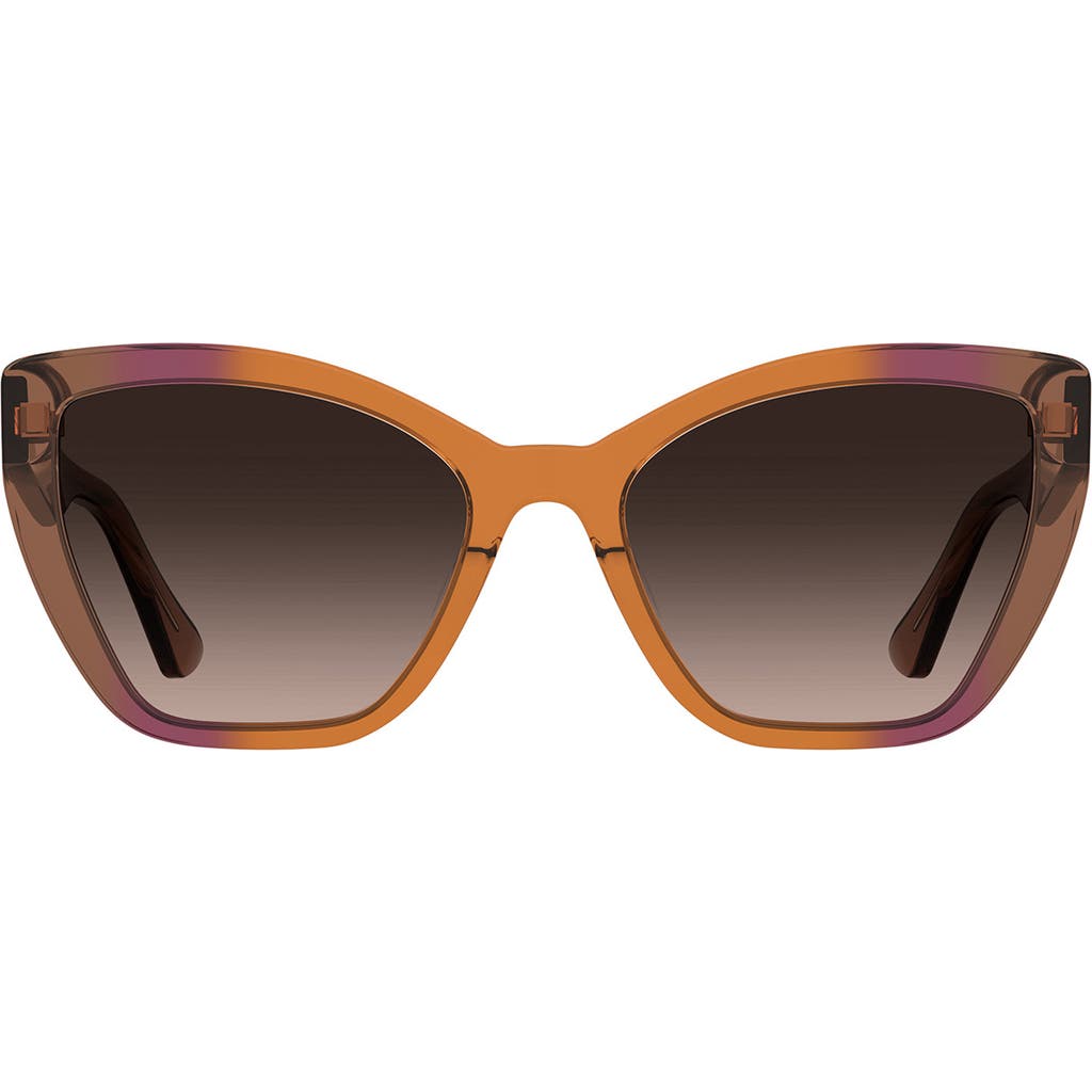Moschino 55mm Cat Eye Sunglasses In 012j-ff