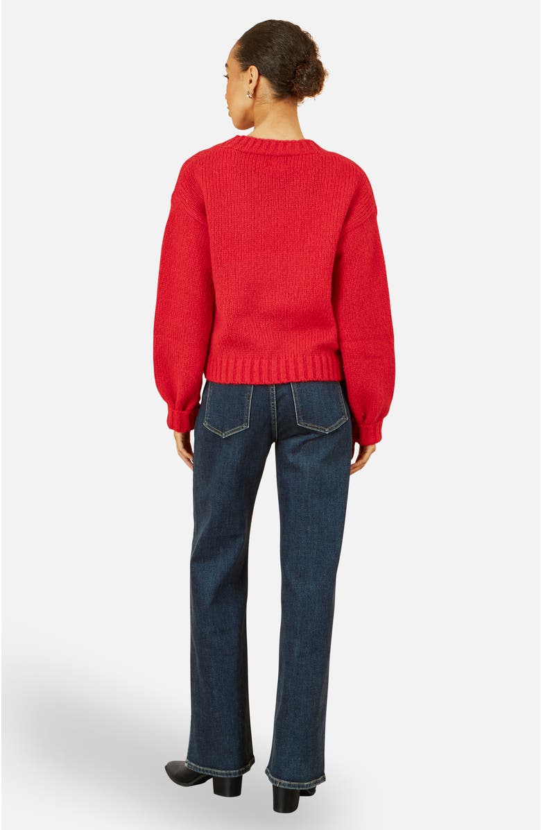 Yumi Hand Embroidered Chunky Knitted Cardigan, Alternate, color, Red