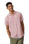  Coral Irregular Stripe