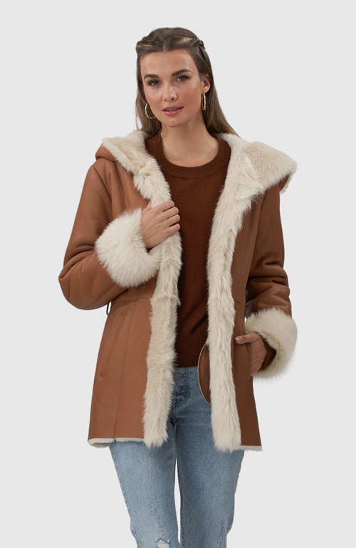 Gorski Belted Shearling Lamb Hooded Jacket With Toscana Trim And Cuffs In Multi