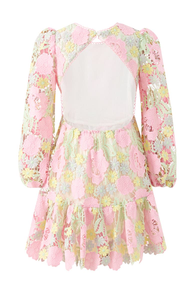 Estella Embroidered Mini Dress, Alternate, color, Floral