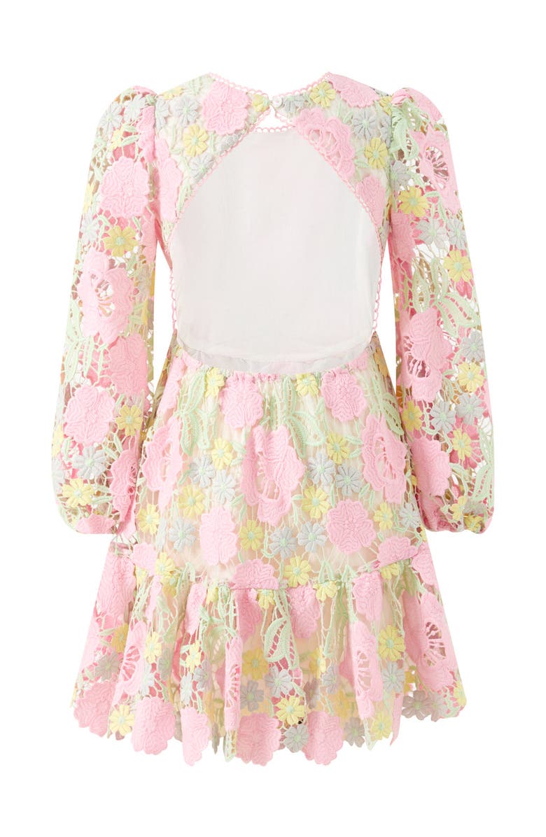 Marlo Kids Estella Embroidered Mini Dress, Alternate, color, Floral
