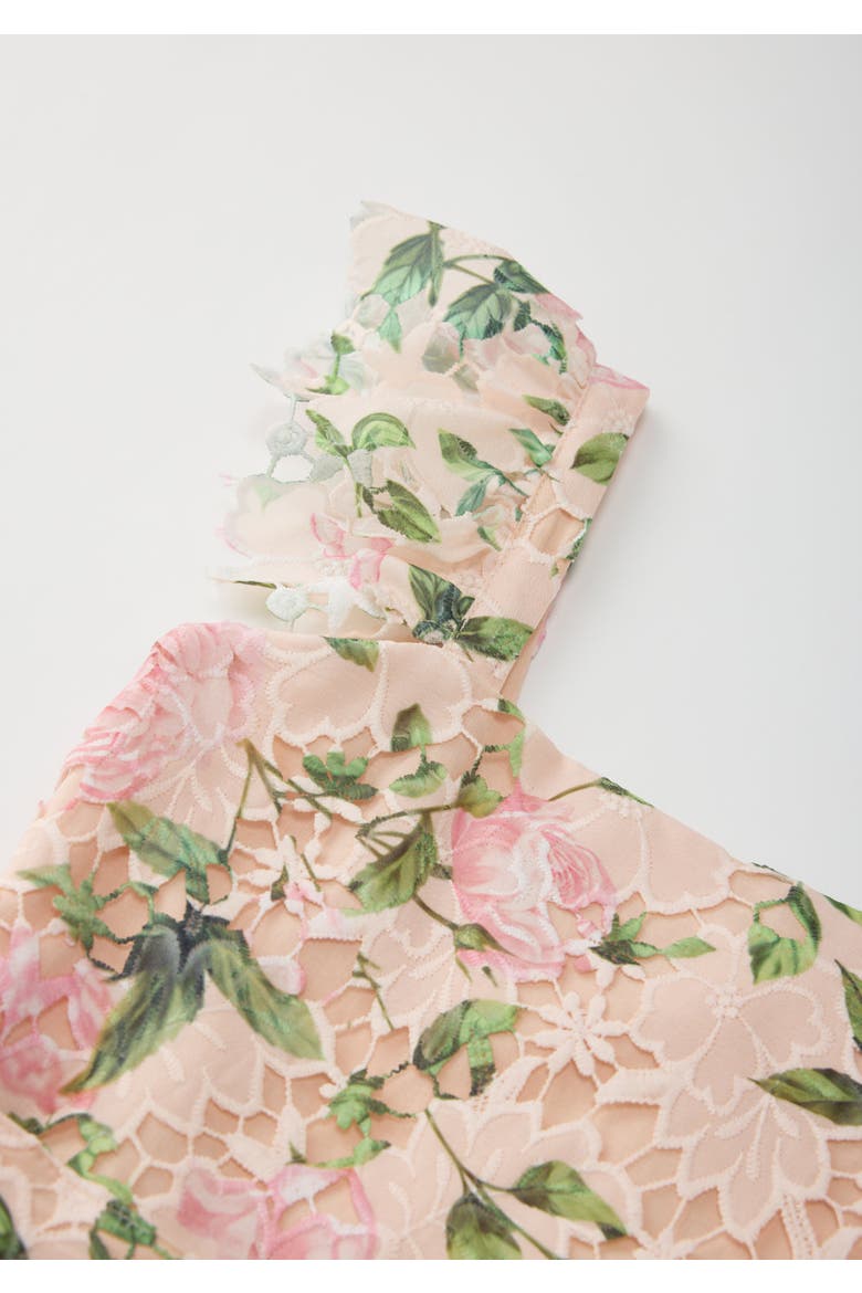 Leonora Embroidered Mini Dress, Alternate, color, Floral