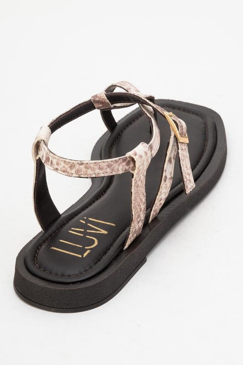 Forever & Always Shoes Morgana Leather Thong Sandal In Brown