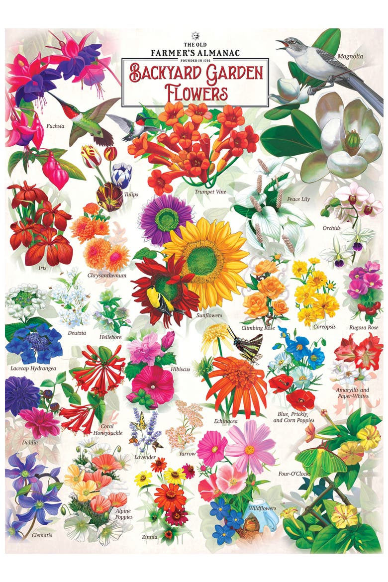 Garden Flowers 1000 Piece Jigsaw Puzzle, Alternate, color, Multicolor