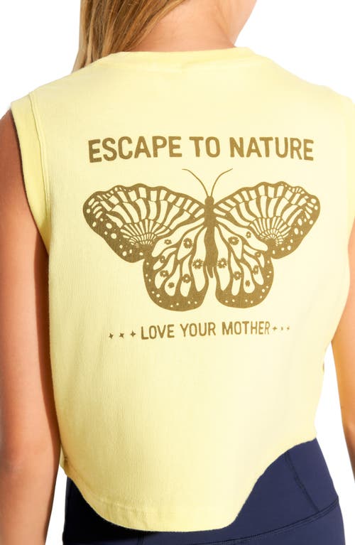 Spiritual Gangster Crawford 222 Nature Graphic Crop Tank In Firefly