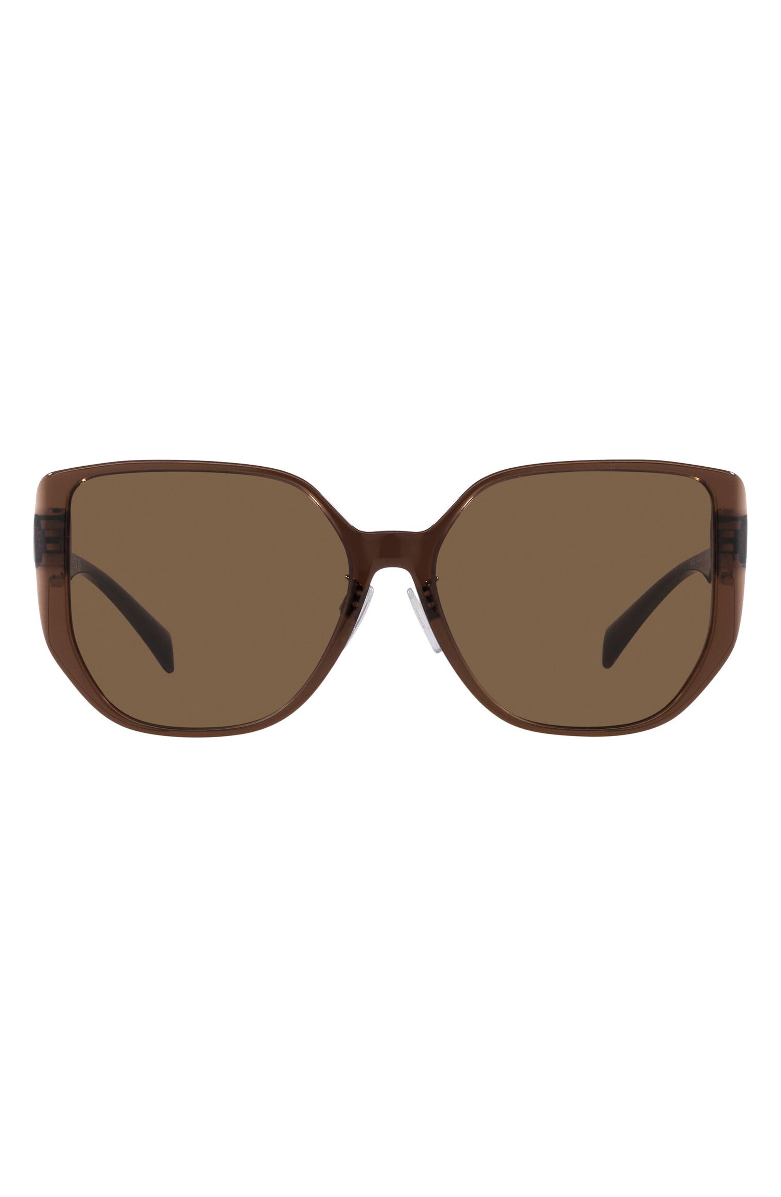 selected TRANSPARENT BROWN / DARK BROWN