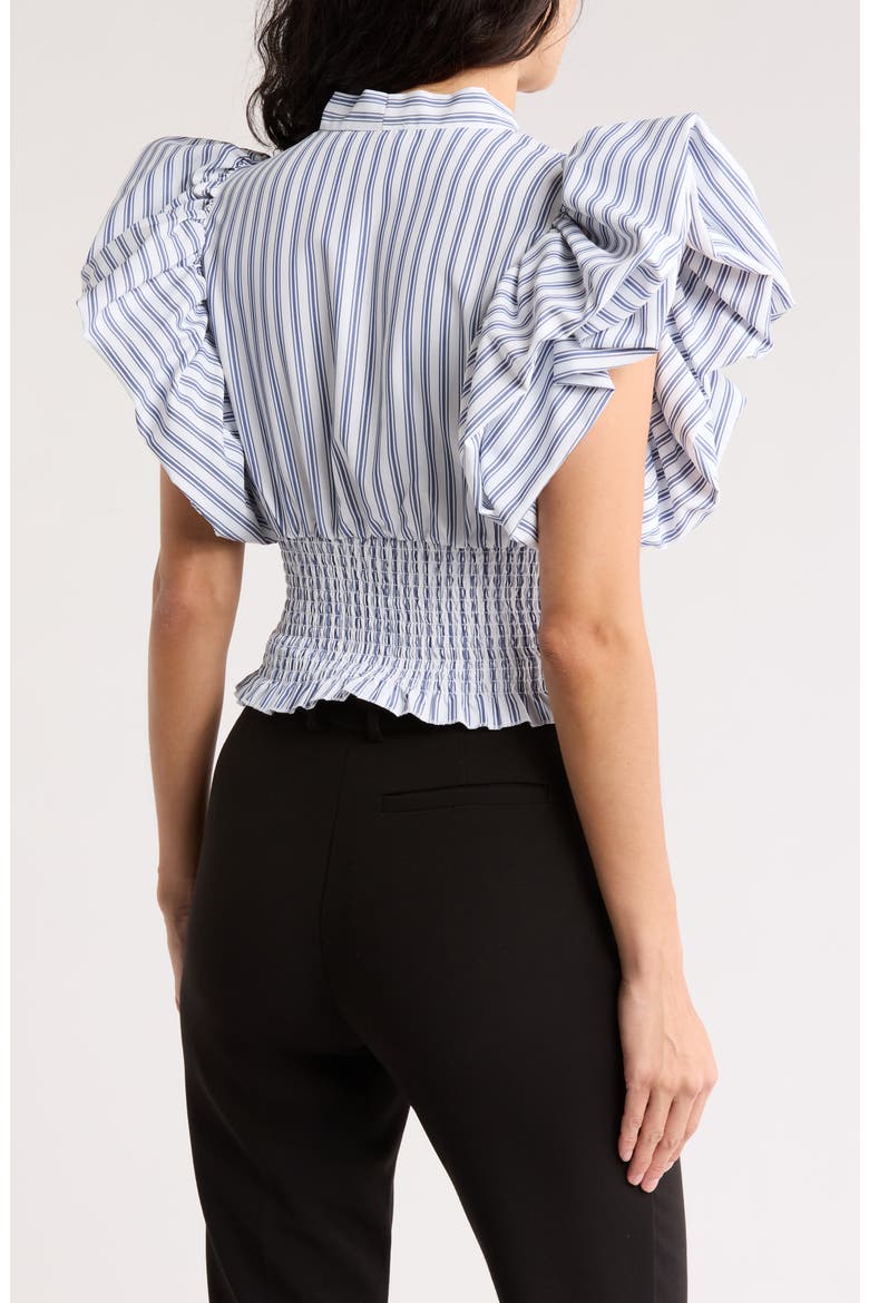 Dorothy Tie Front Ruffle Sleeve Crop Top, Alternate, color, MARTHAS VINEYARD STRIPE