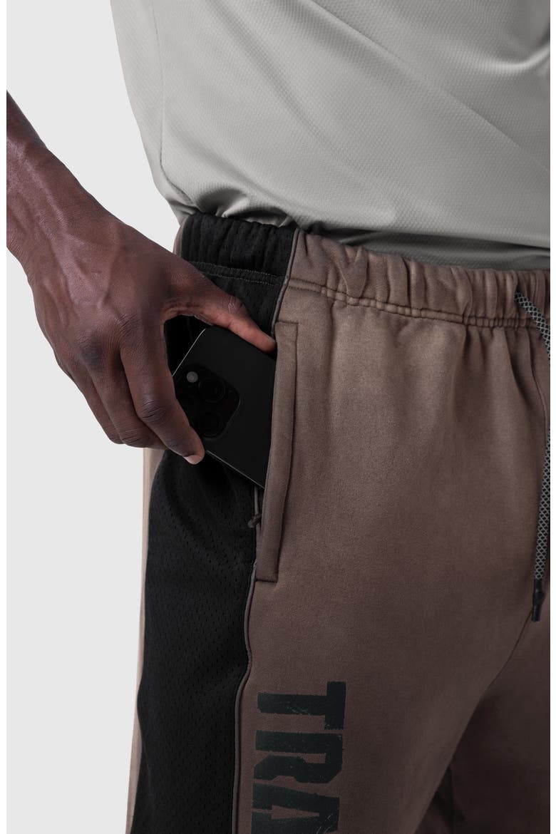 Tech Terry Mesh Panel Sweatpants, Alternate, color, Dark Earth