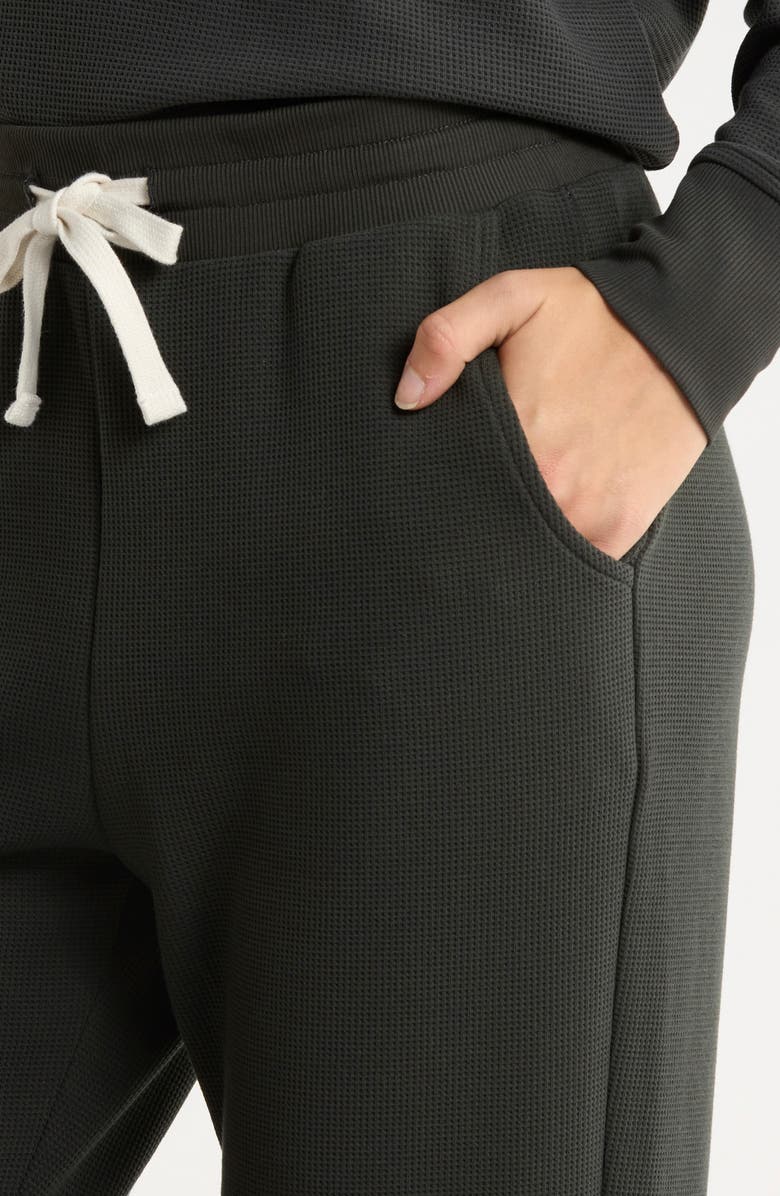 Free Fly Waffle Knit Joggers, Alternate, color, Black Sand