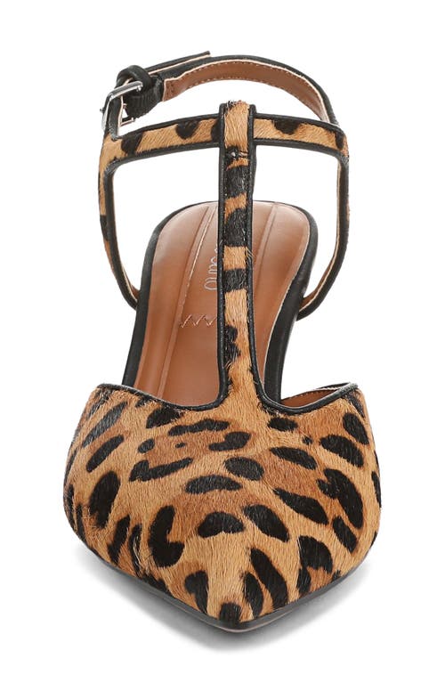 Franco Sarto Ovett Pointed Toe T-strap Pump In Animal Print