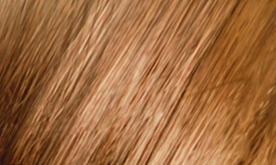6.3 DARK GOLDEN BLONDE